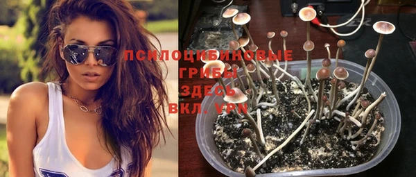 амф Надым