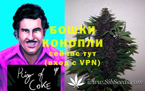 амф Надым