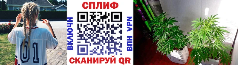 наркота  Разумное  Марихуана семена 